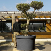 Gigantic Pot for Tree - D.105 x H.70 cm